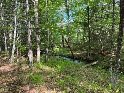 0 Peaked Hill Road Bristol NH 03222