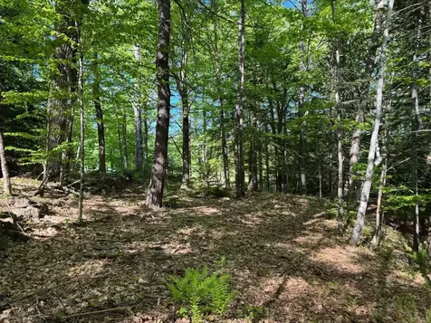 0 Peaked Hill Road Bristol NH 03222