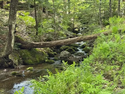 0 Peaked Hill Road Bristol NH 03222
