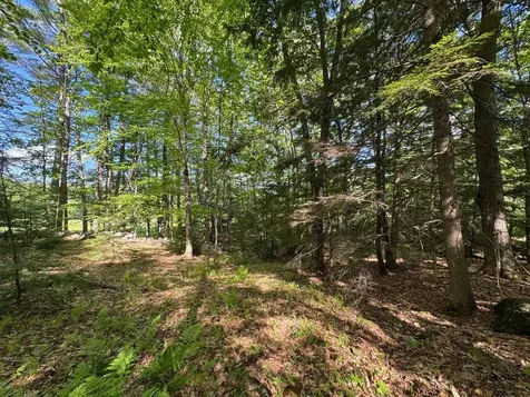 0 Peaked Hill Road Bristol NH 03222