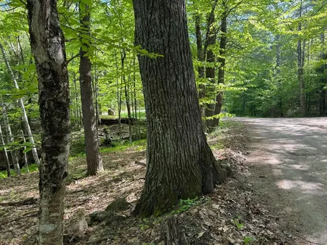 0 Peaked Hill Road Bristol NH 03222