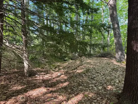 0 Peaked Hill Road Bristol NH 03222