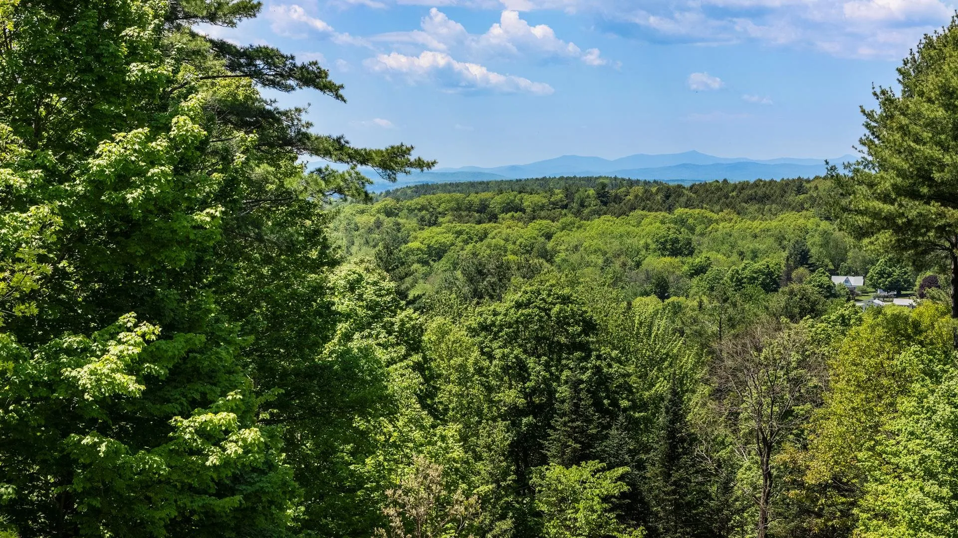 54 Blueberry Hill Drive Lebanon NH 03766