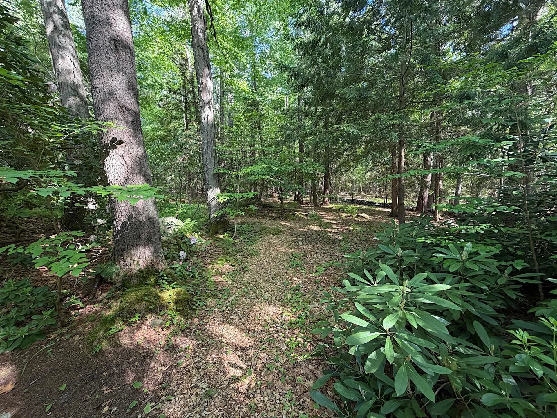 8 Ship Rock Road North Hampton NH 03862