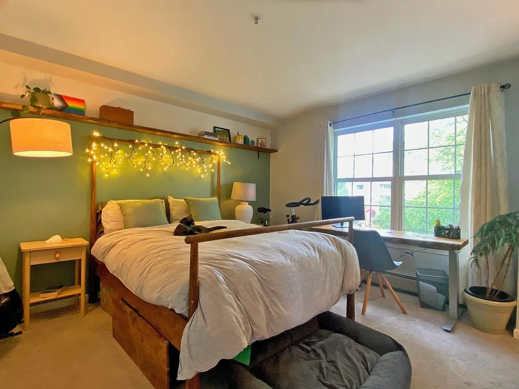 294 Hildred Drive Burlington VT 05401