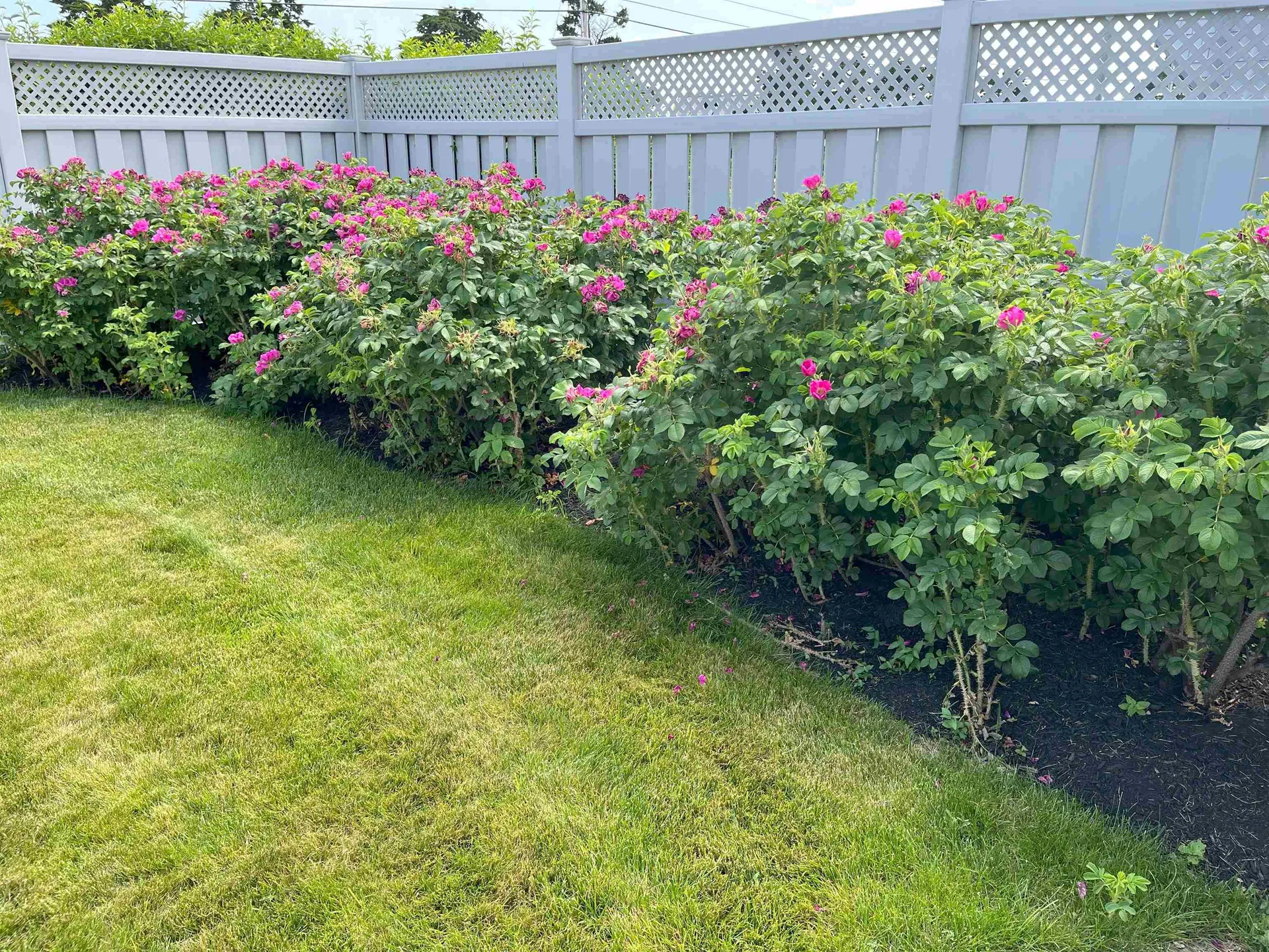 947 Ocean Boulevard Hampton NH 03842