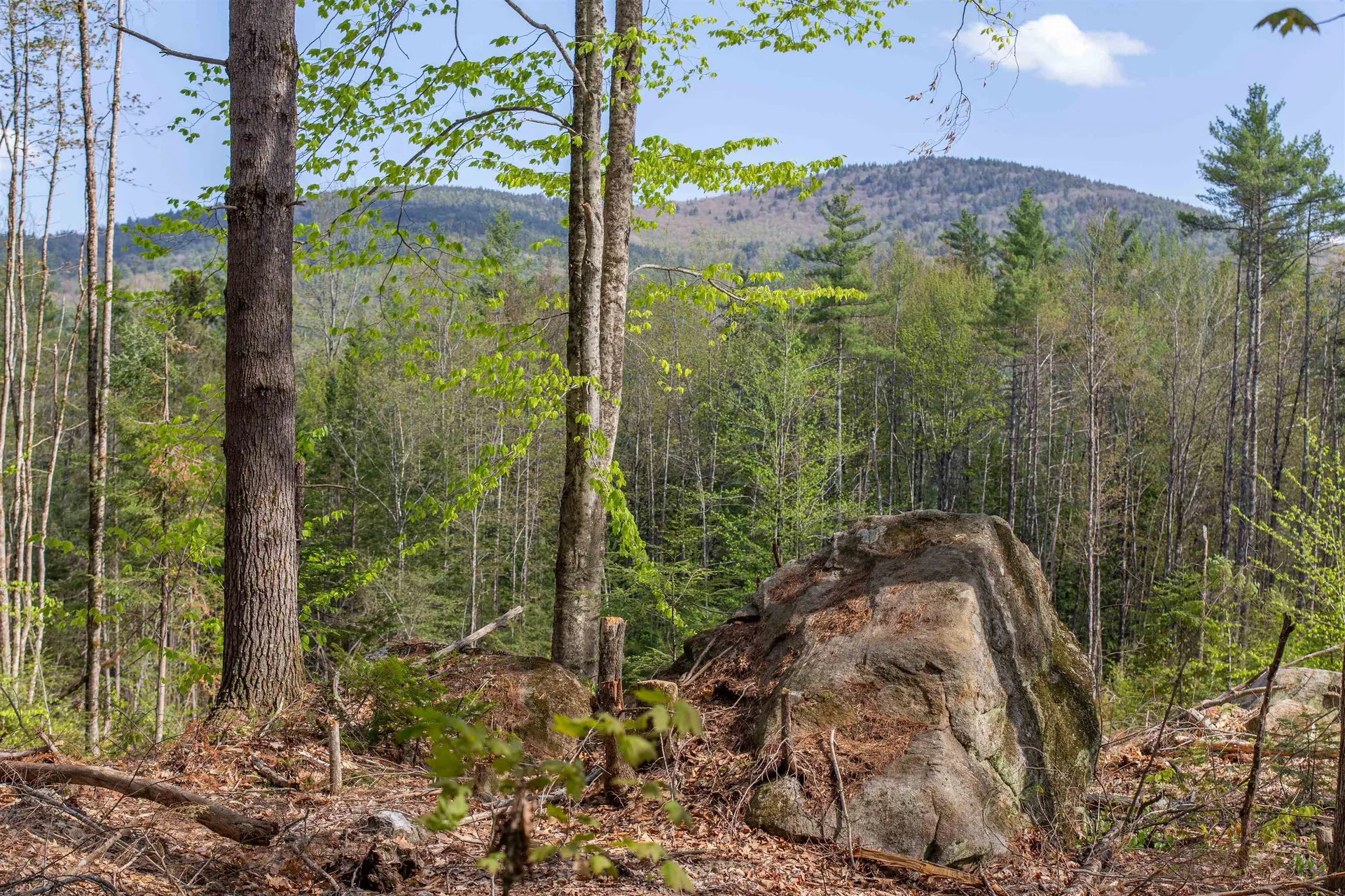 00 Elijah Beede Road Sandwich NH 03227