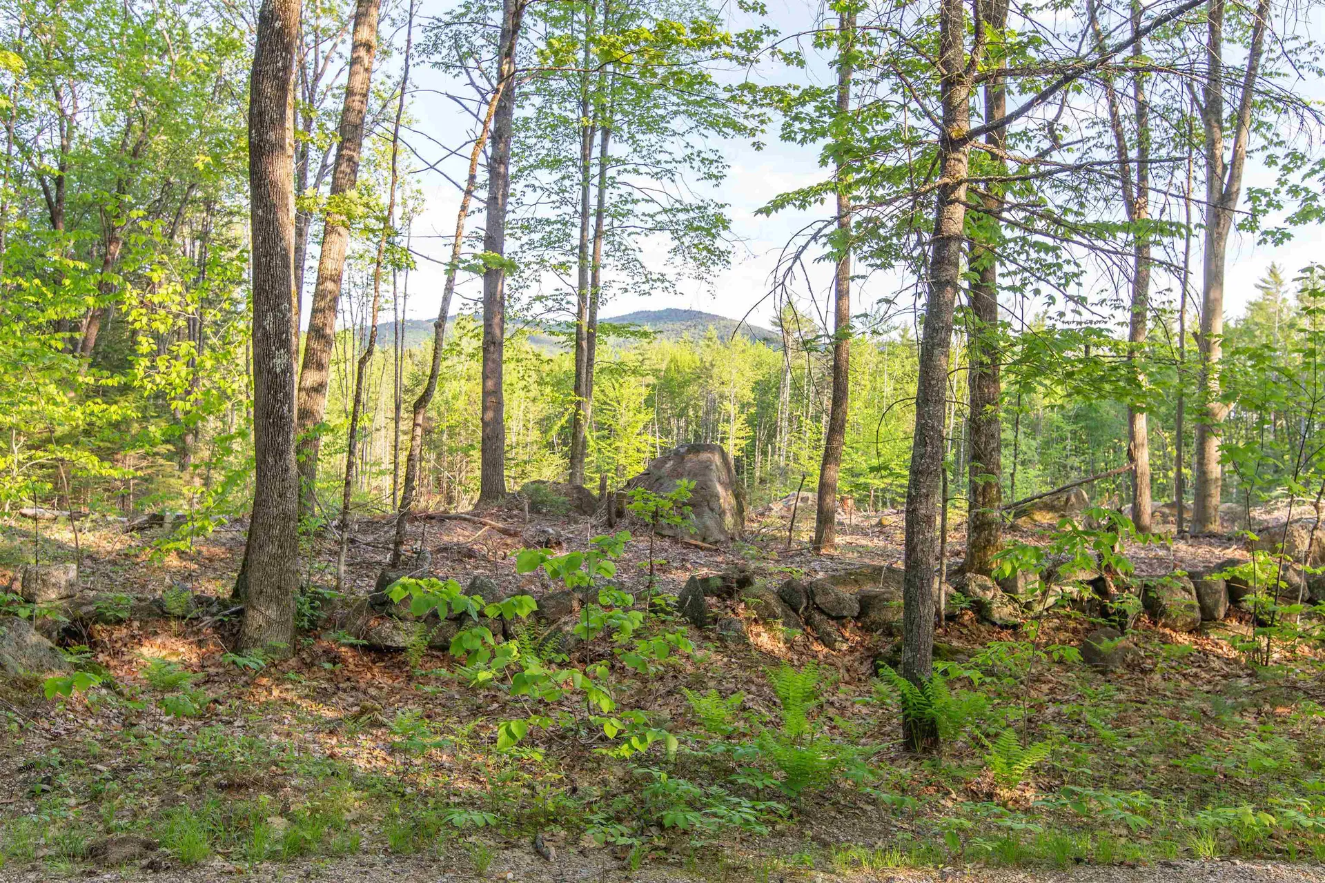 00 Elijah Beede Road Sandwich NH 03227