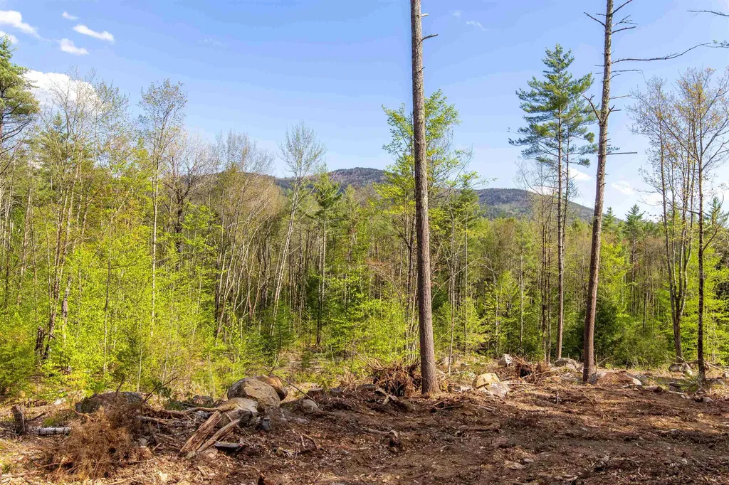 000 Elijah Beede Road Sandwich NH 03227