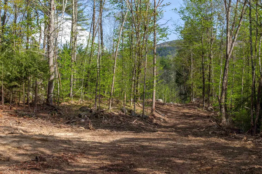 000 Elijah Beede Road Sandwich NH 03227