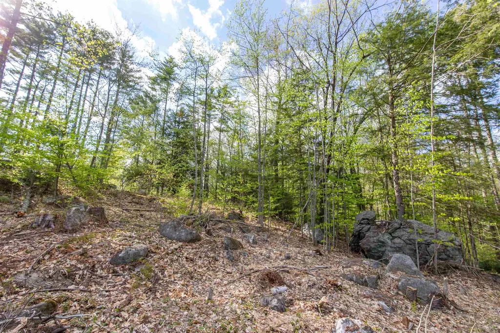 000 Elijah Beede Road Sandwich NH 03227