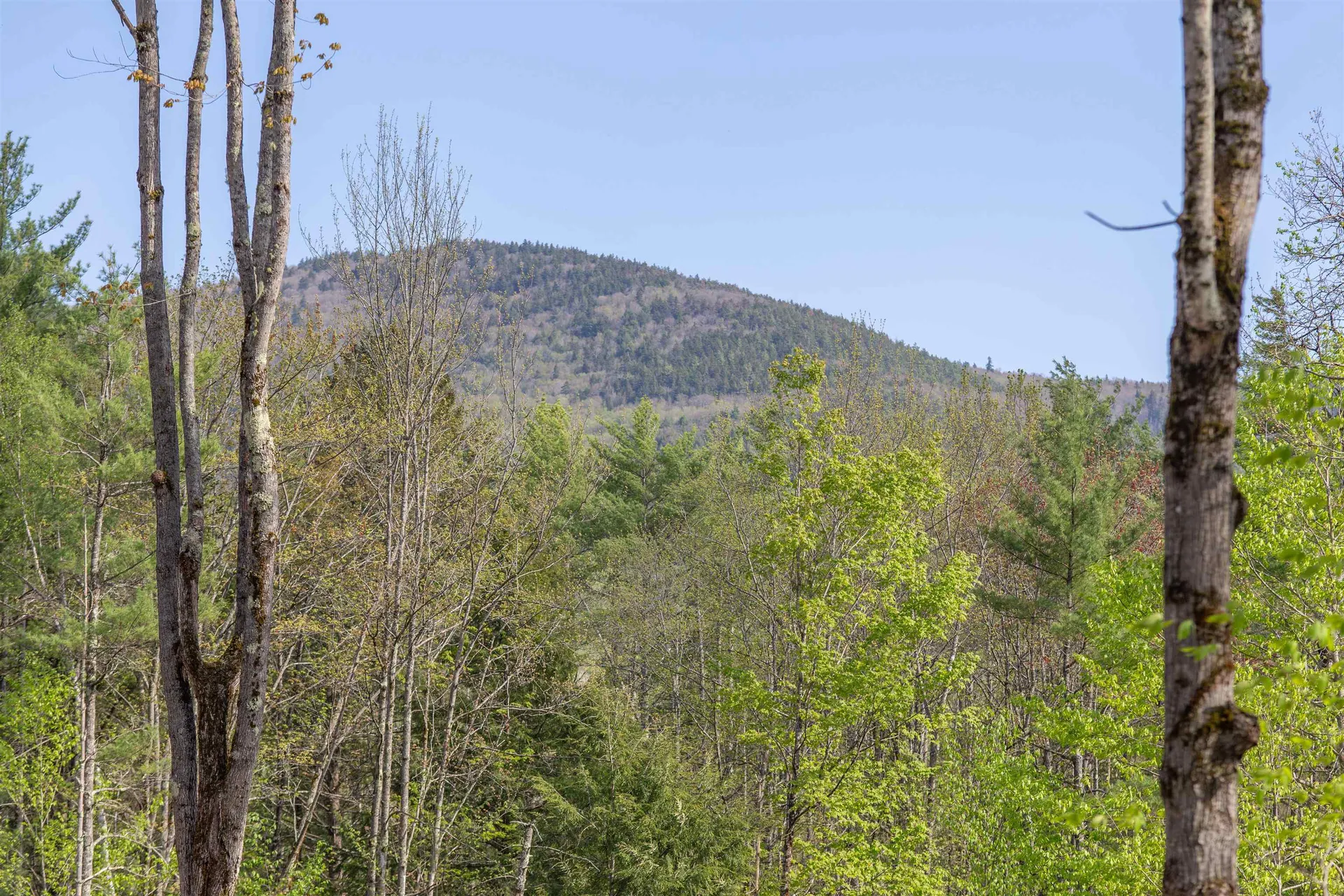 000 Elijah Beede Road Sandwich NH 03227