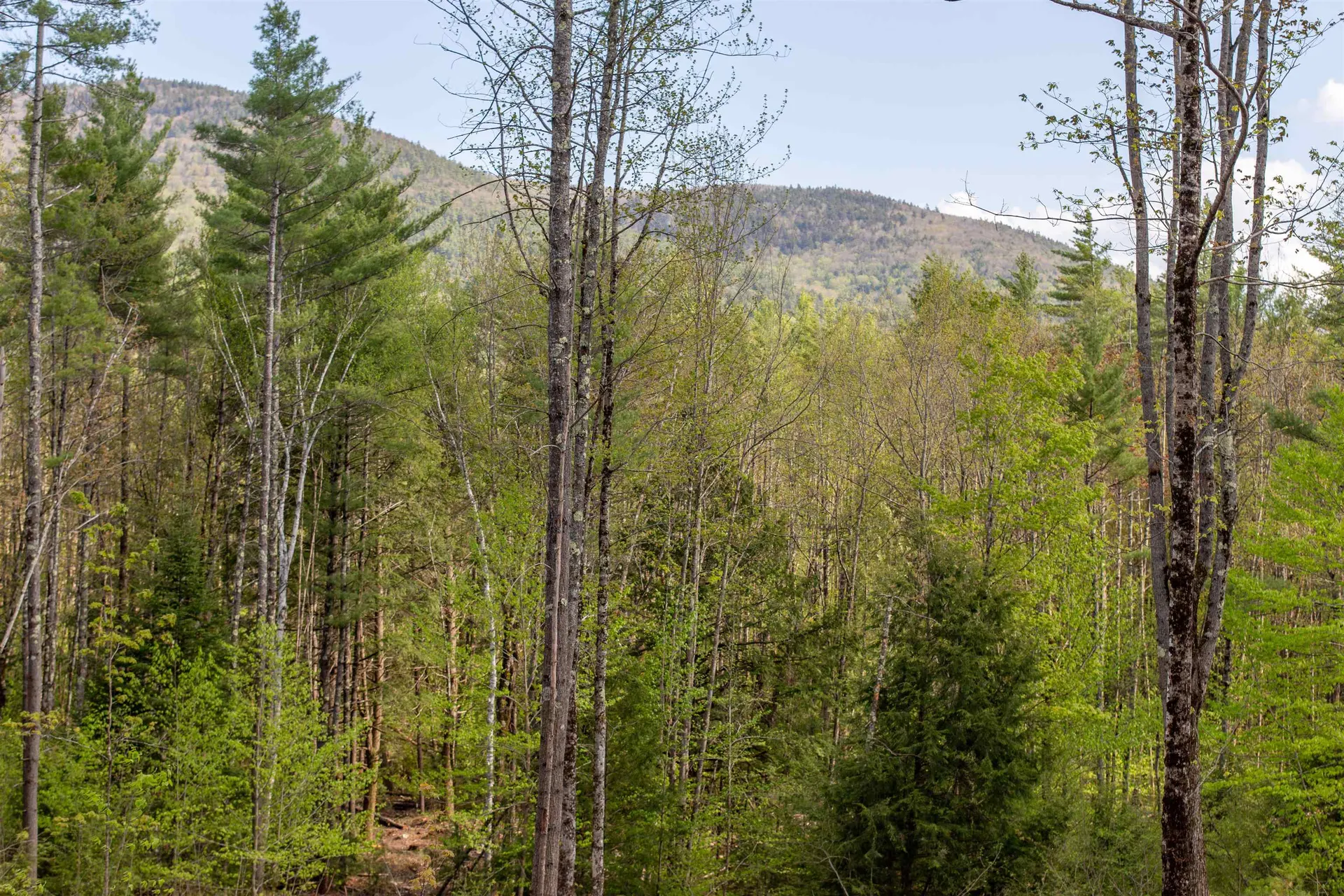 000 Elijah Beede Road Sandwich NH 03227