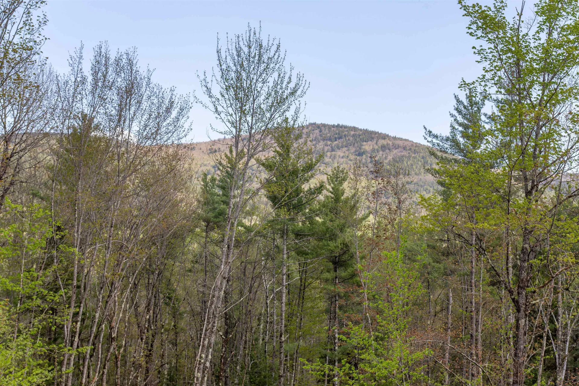 000 Elijah Beede Road Sandwich NH 03227