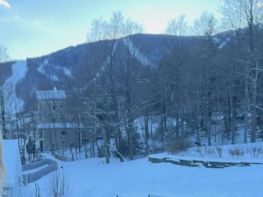 205 Mountainside Drive Warren VT 05674