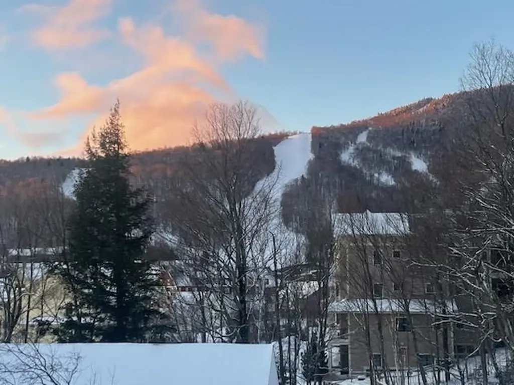 205 Mountainside Drive Warren VT 05674