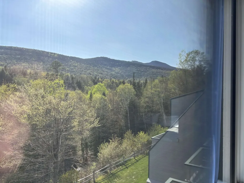 8 Emerson Way Waterville Valley NH 03215