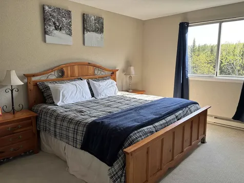 8 Emerson Way Waterville Valley NH 03215