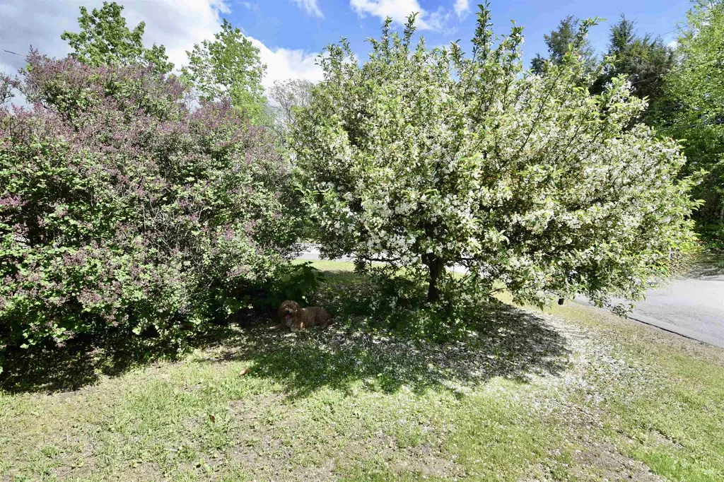 9 Wildwood Avenue Claremont NH 03743
