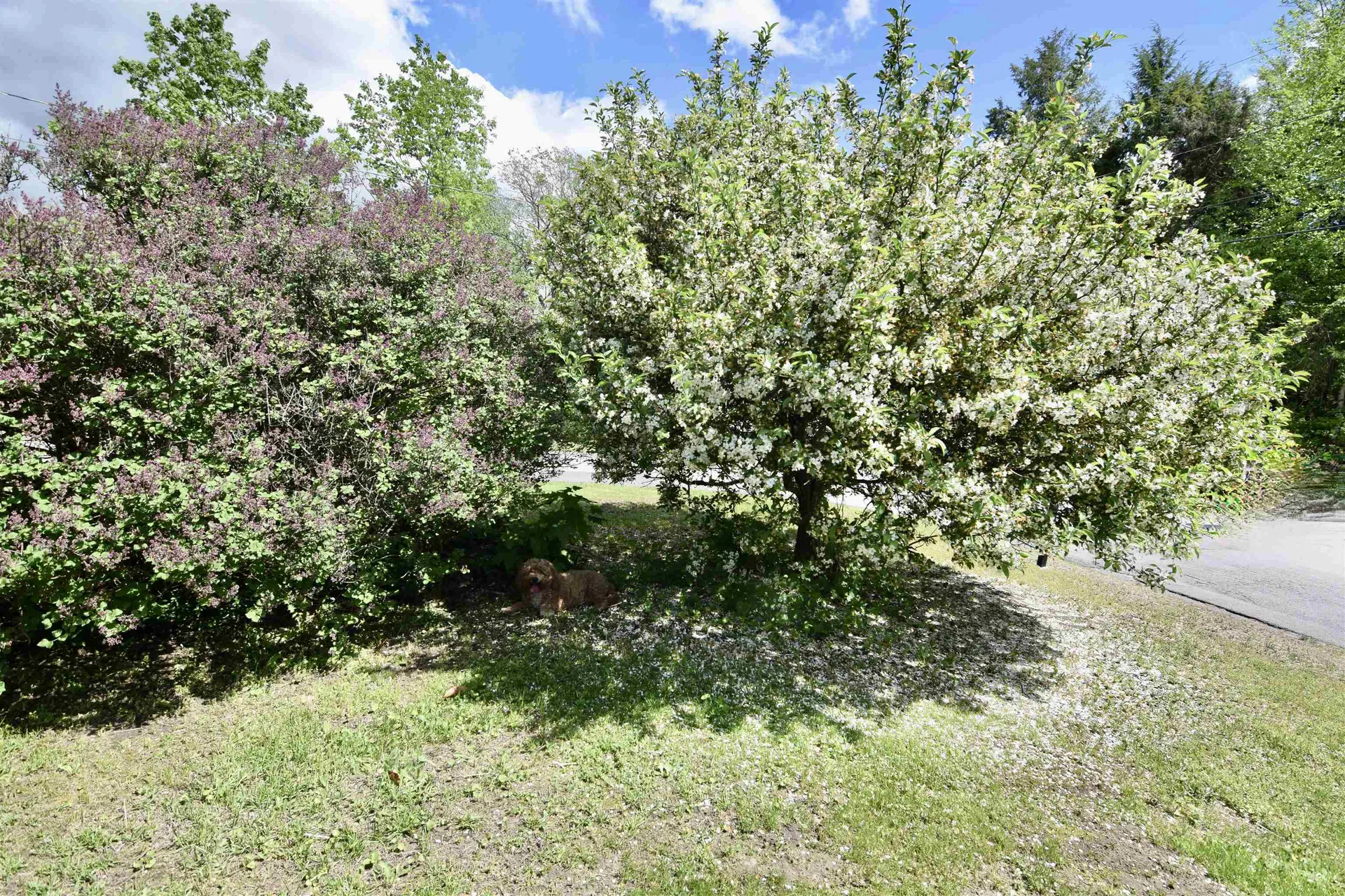 9 Wildwood Avenue Claremont NH 03743