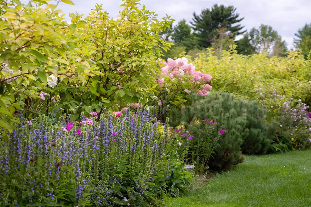 235 Primrose Lane Ferrisburgh VT 05456