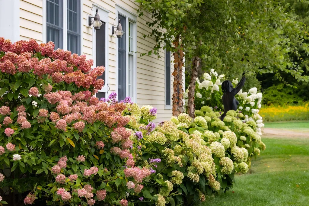 235 Primrose Lane Ferrisburgh VT 05456