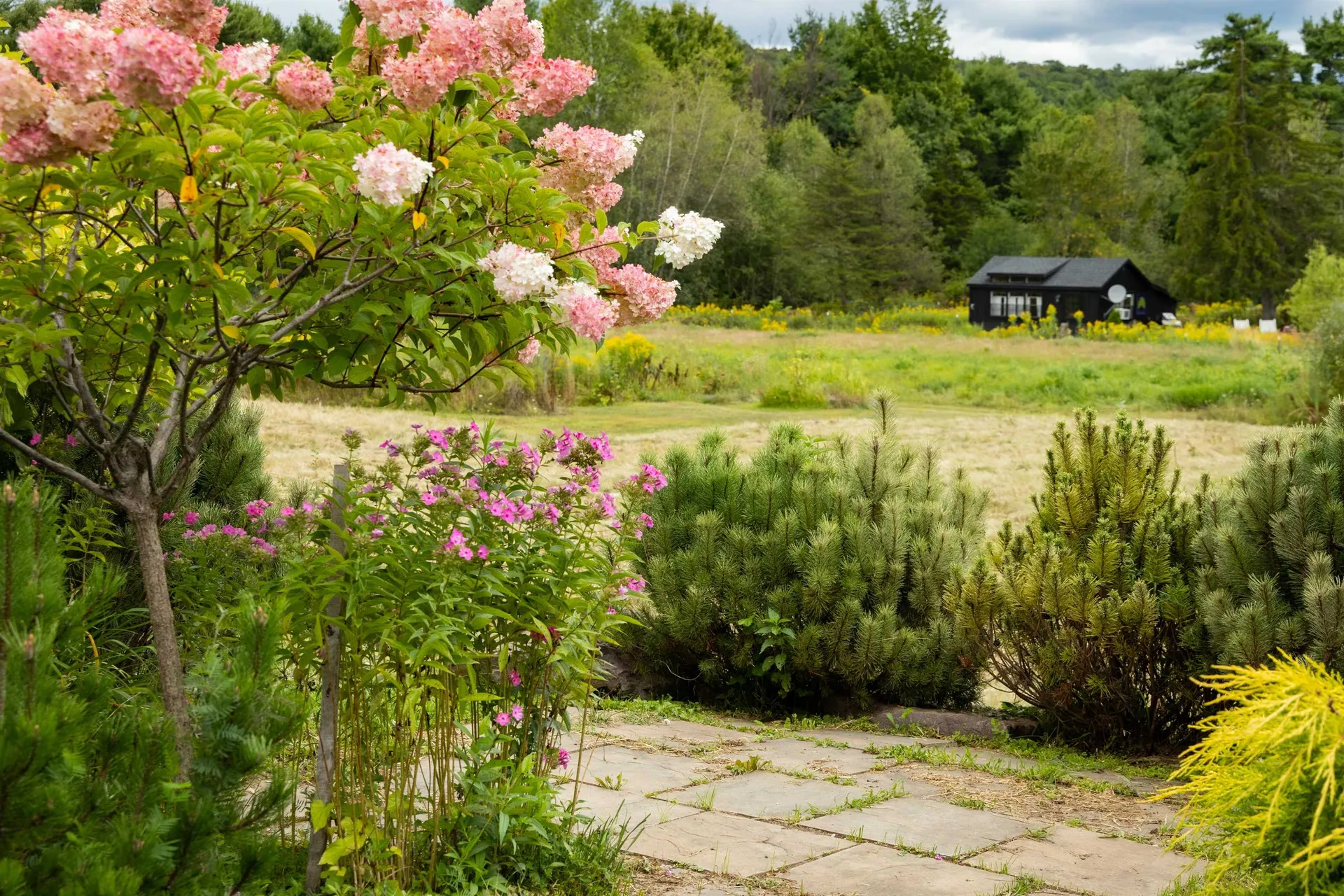 235 Primrose Lane Ferrisburgh VT 05456