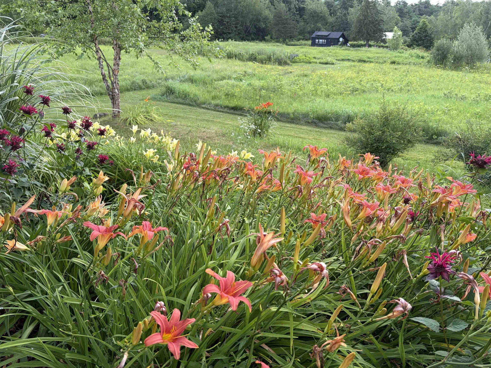 235 Primrose Lane Ferrisburgh VT 05456