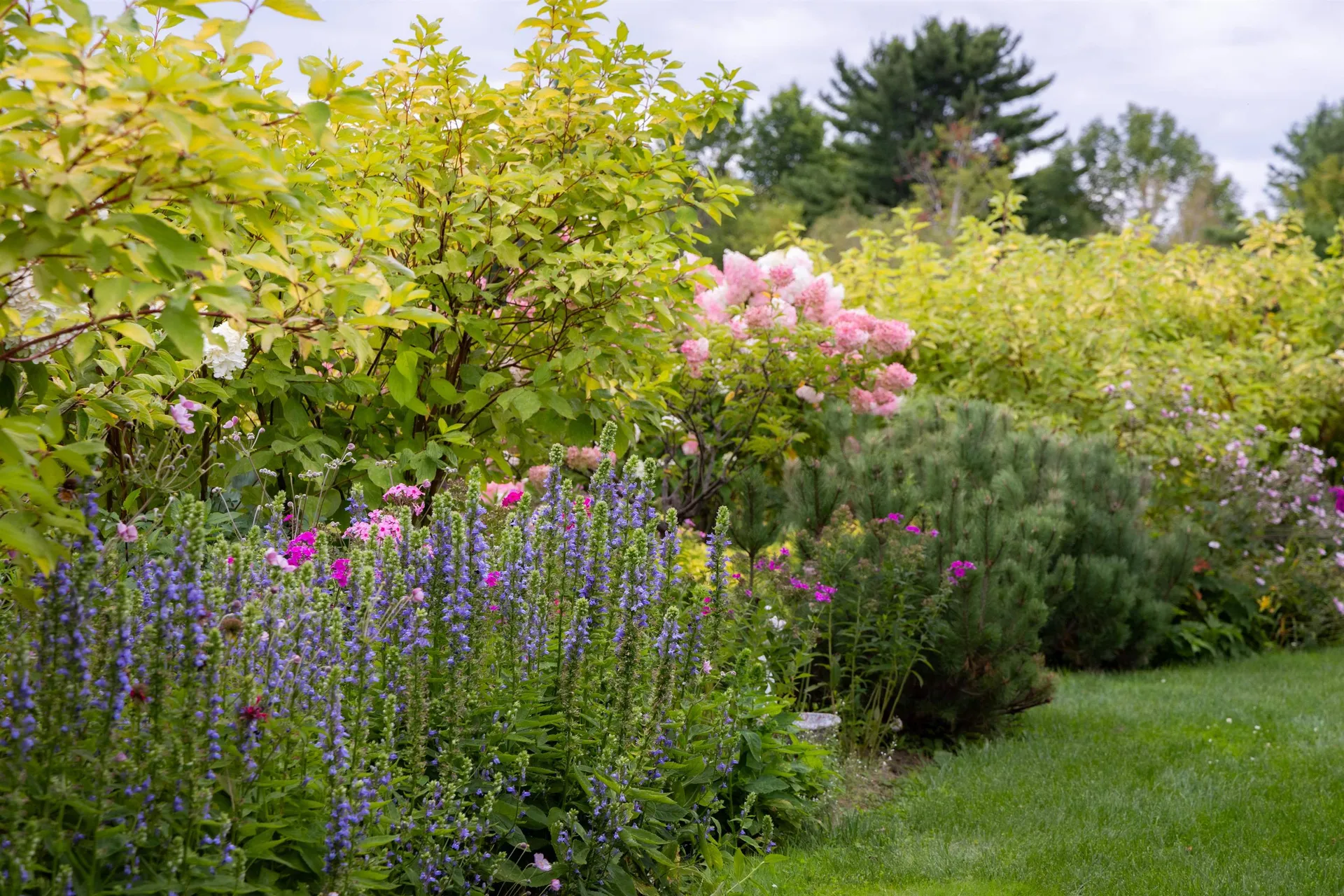 235 Primrose Lane Ferrisburgh VT 05456