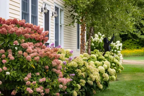 235 Primrose Lane Ferrisburgh VT 05456