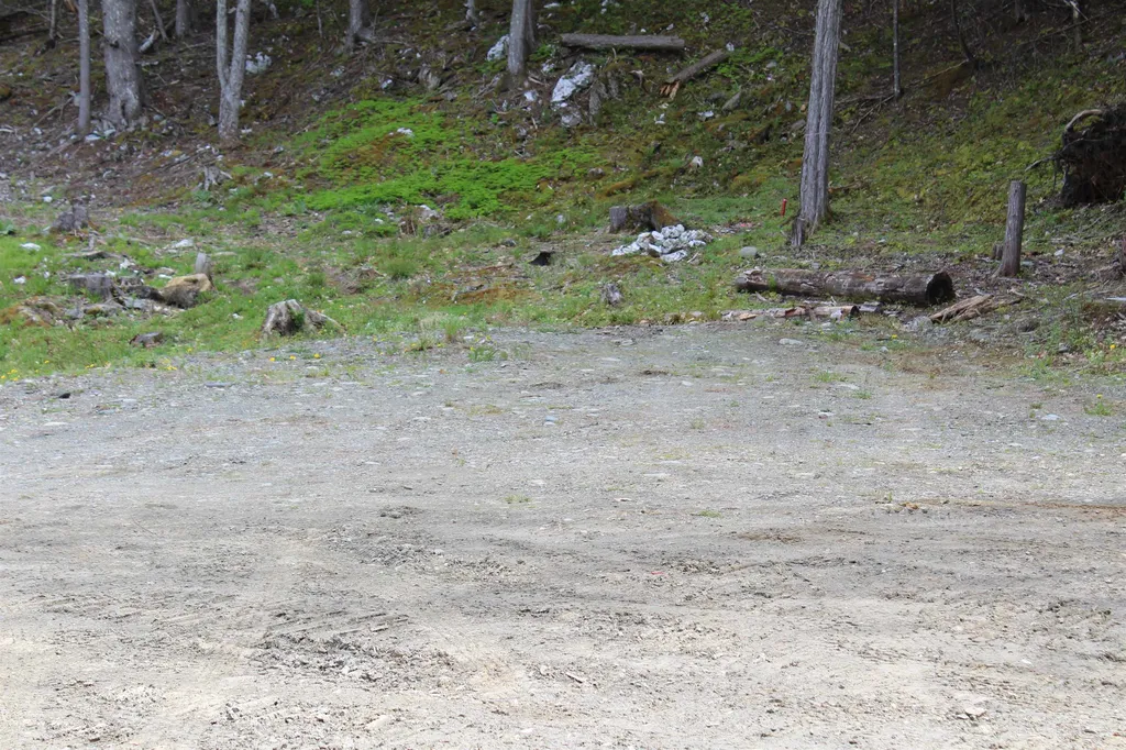 Lot 23/24 Wetherbee Road Lyman NH 03585