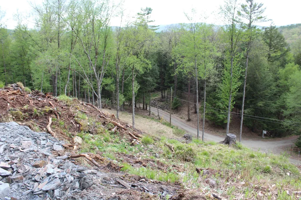 Lot 23/24 Wetherbee Road Lyman NH 03585
