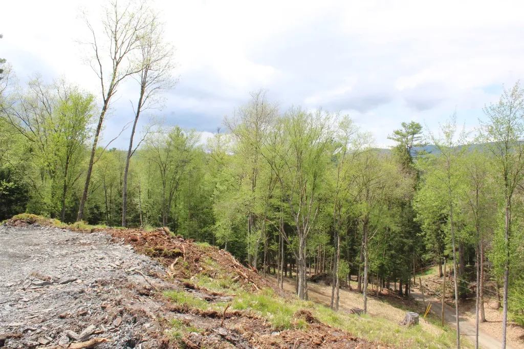Lot 23/24 Wetherbee Road Lyman NH 03585