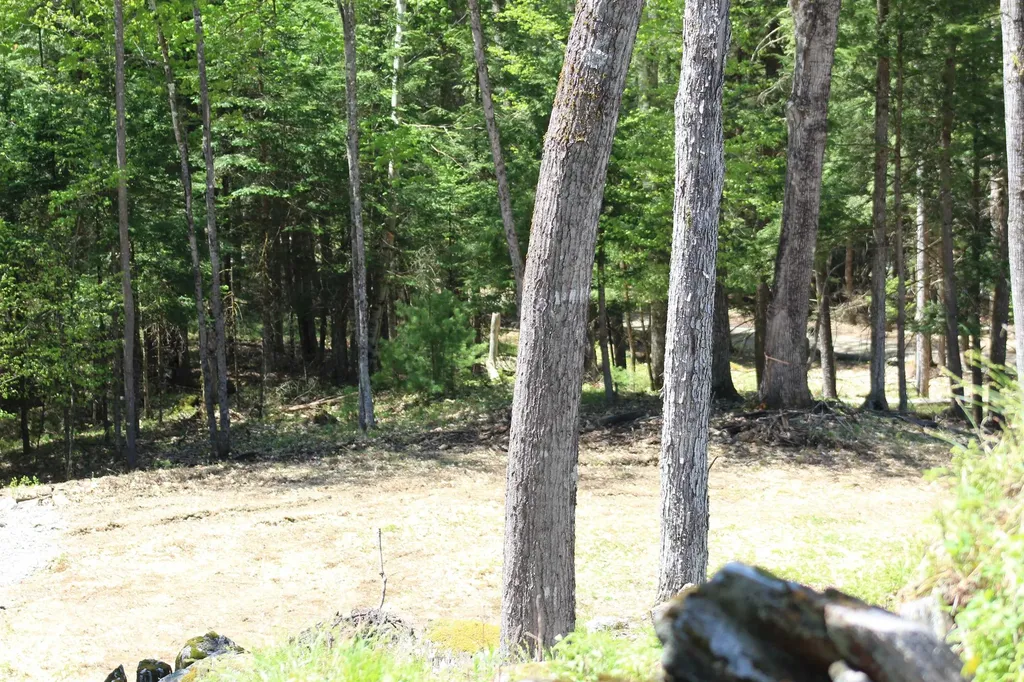 Lot 23/24 Wetherbee Road Lyman NH 03585