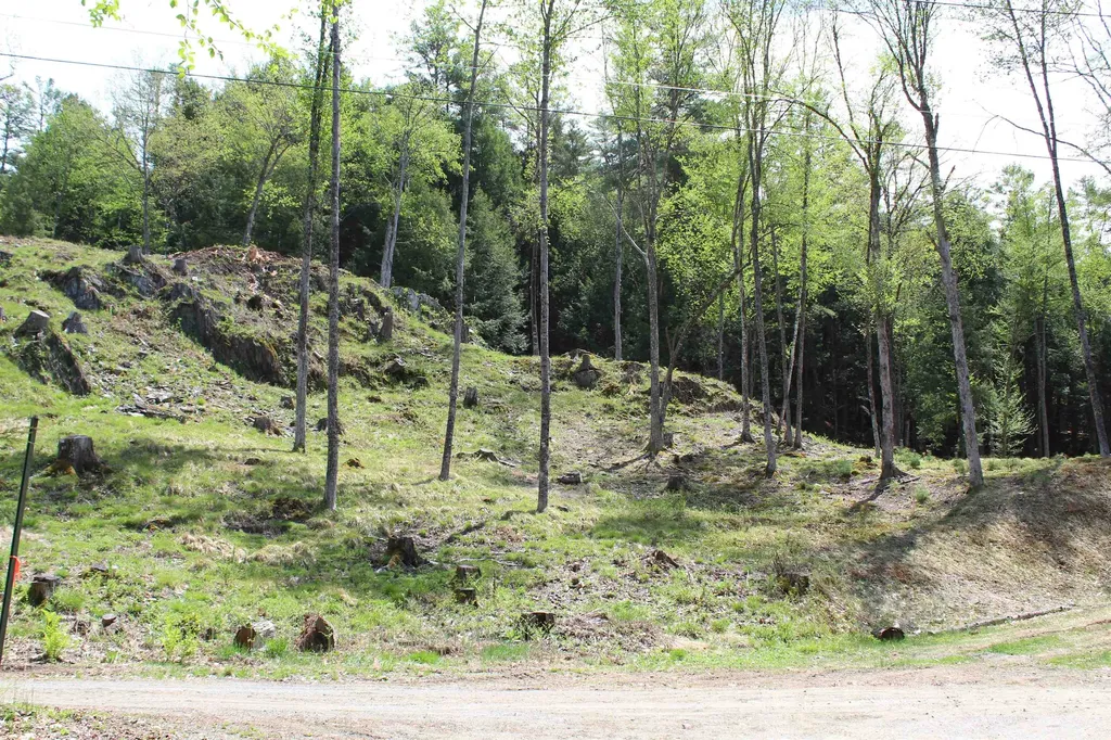 Lot 23/24 Wetherbee Road Lyman NH 03585