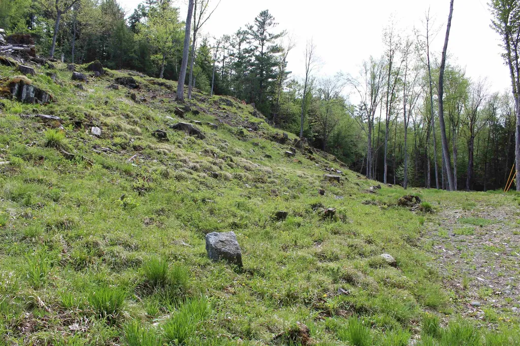 Lot 23/24 Wetherbee Road Lyman NH 03585