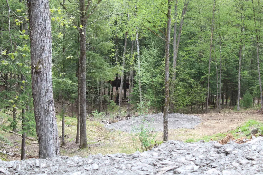 Lot 23/24 Wetherbee Road Lyman NH 03585