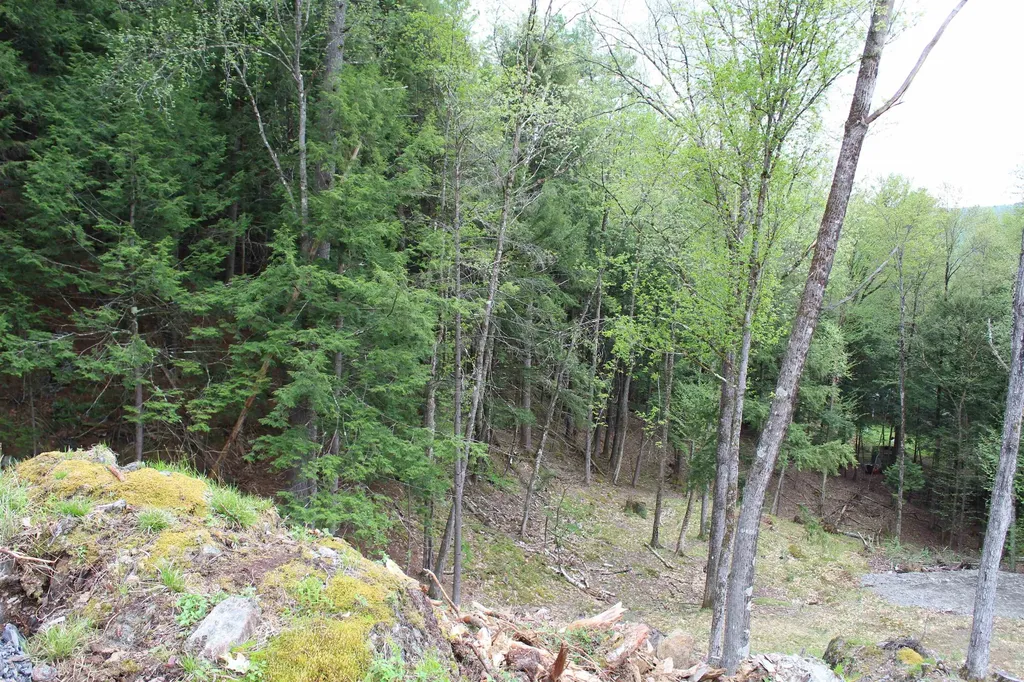 Lot 23/24 Wetherbee Road Lyman NH 03585