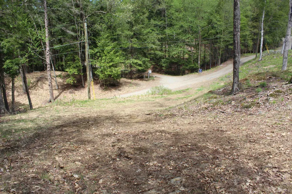 Lot 23/24 Wetherbee Road Lyman NH 03585