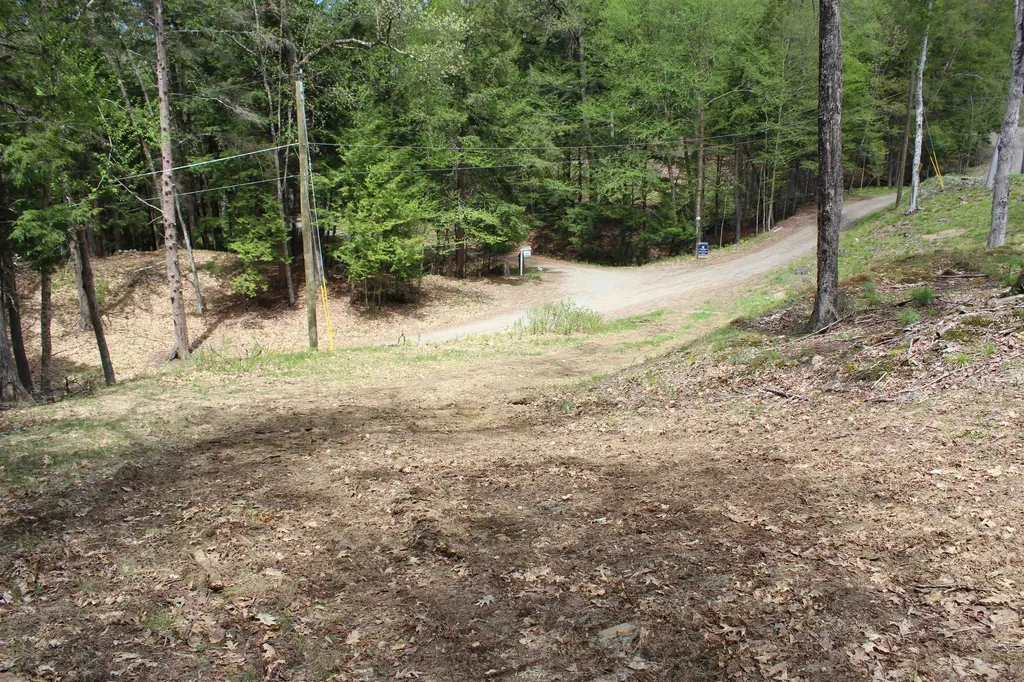 Lot 23/24 Wetherbee Road Lyman NH 03585