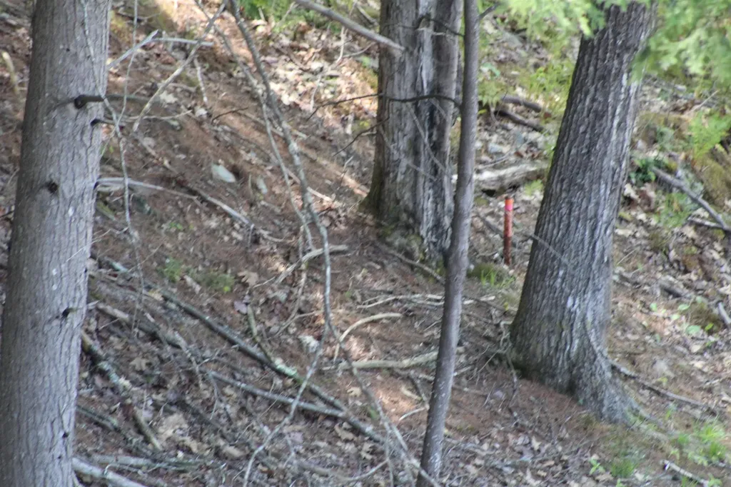 Lot 23/24 Wetherbee Road Lyman NH 03585