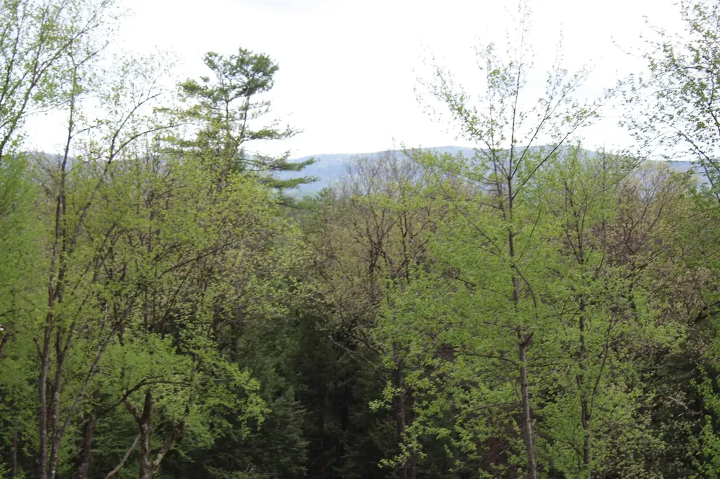 Lot 23/24 Wetherbee Road Lyman NH 03585