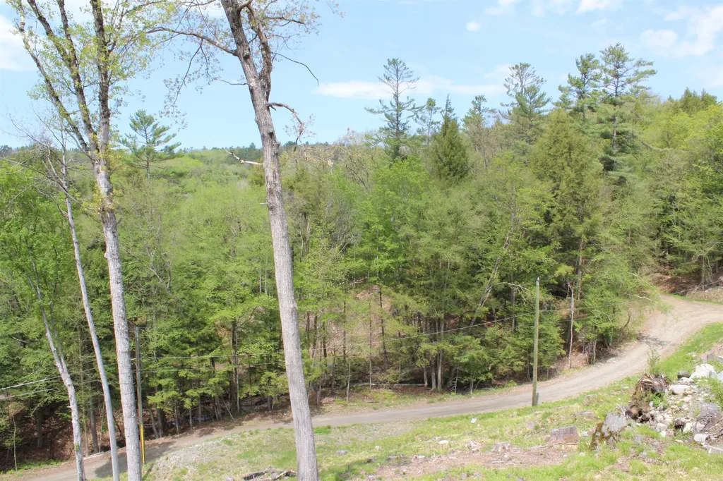 Lot 23/24 Wetherbee Road Lyman NH 03585
