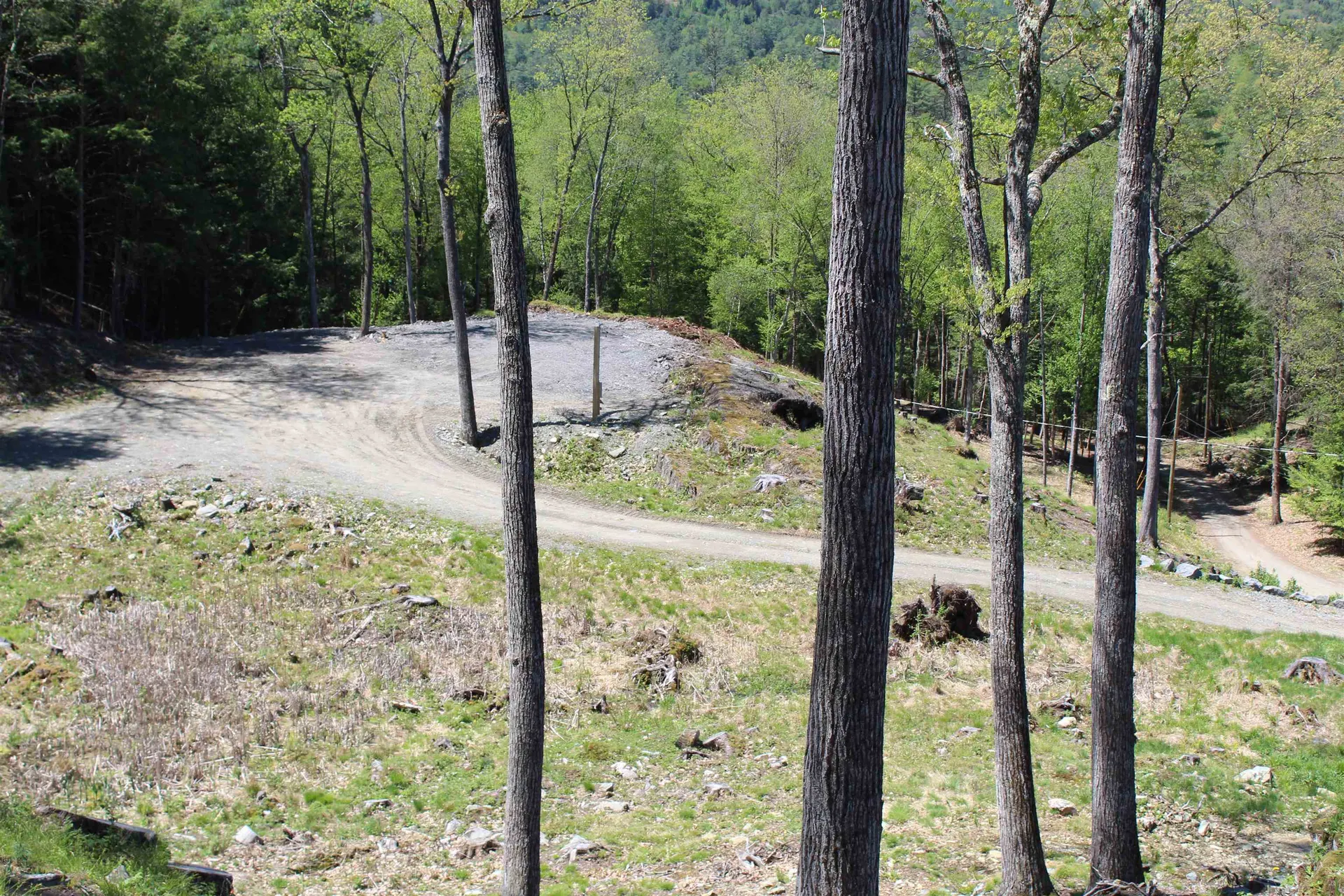 Lot 23/24 Wetherbee Road Lyman NH 03585