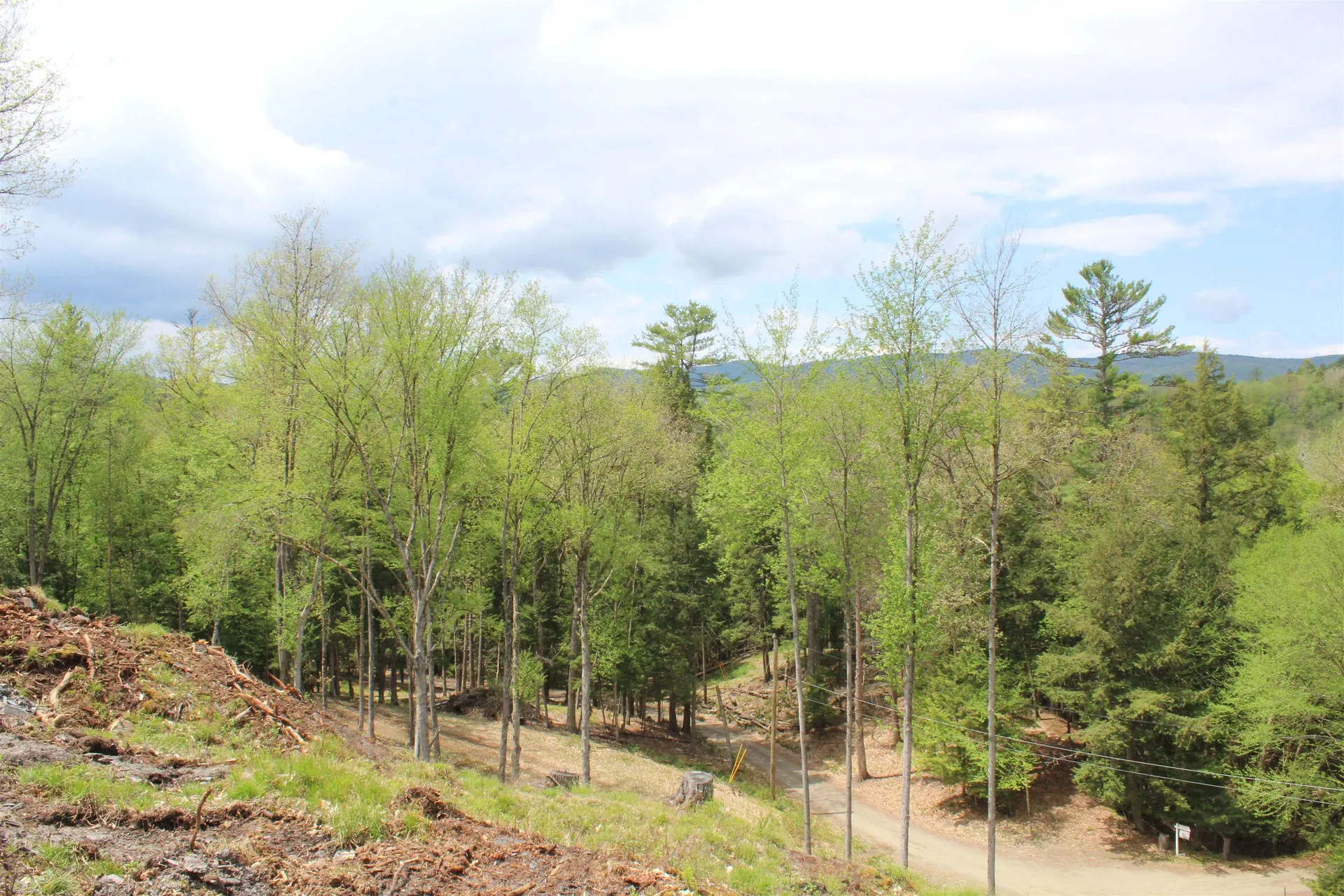 Lot 23/24 Wetherbee Road Lyman NH 03585