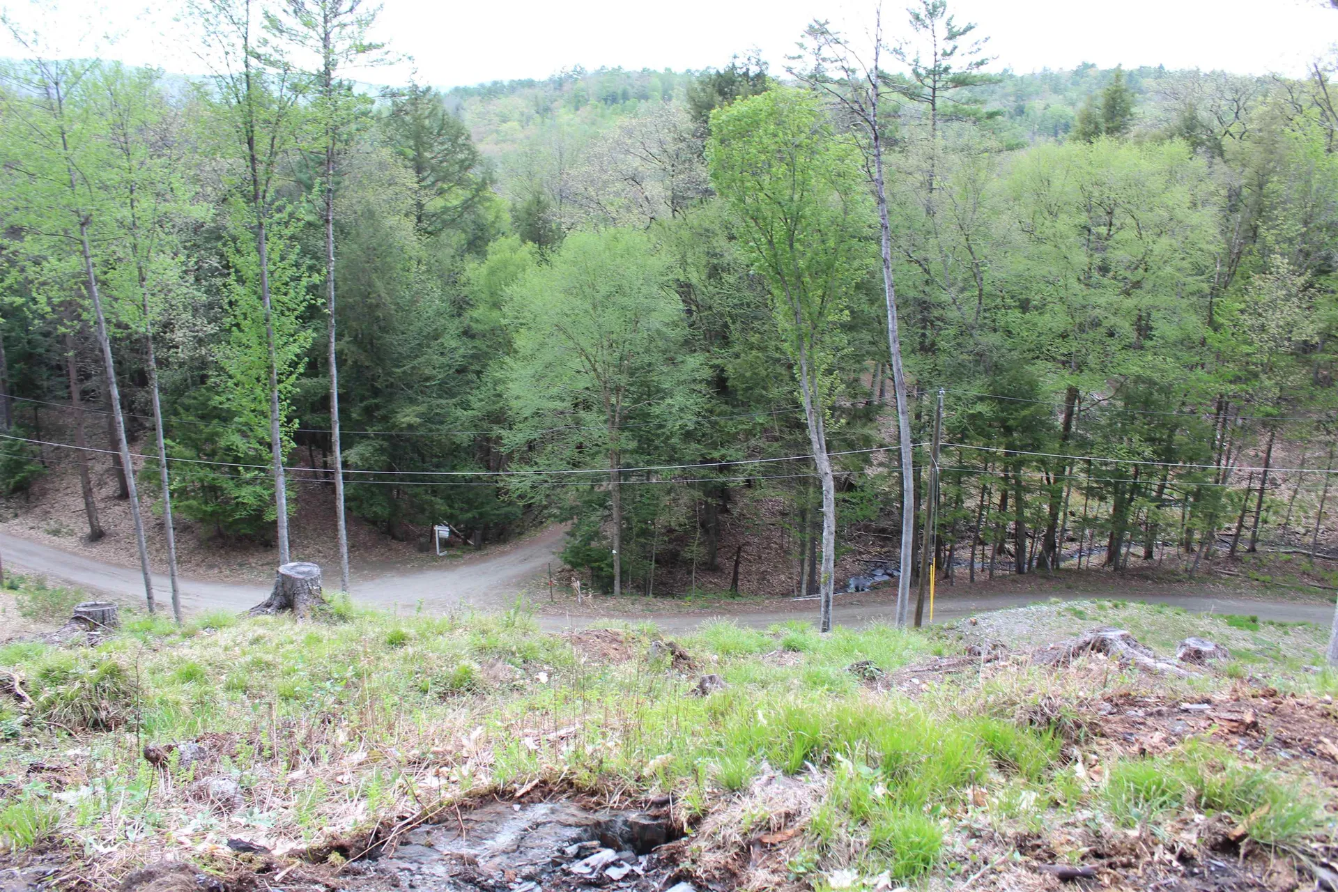 Lot 23/24 Wetherbee Road Lyman NH 03585