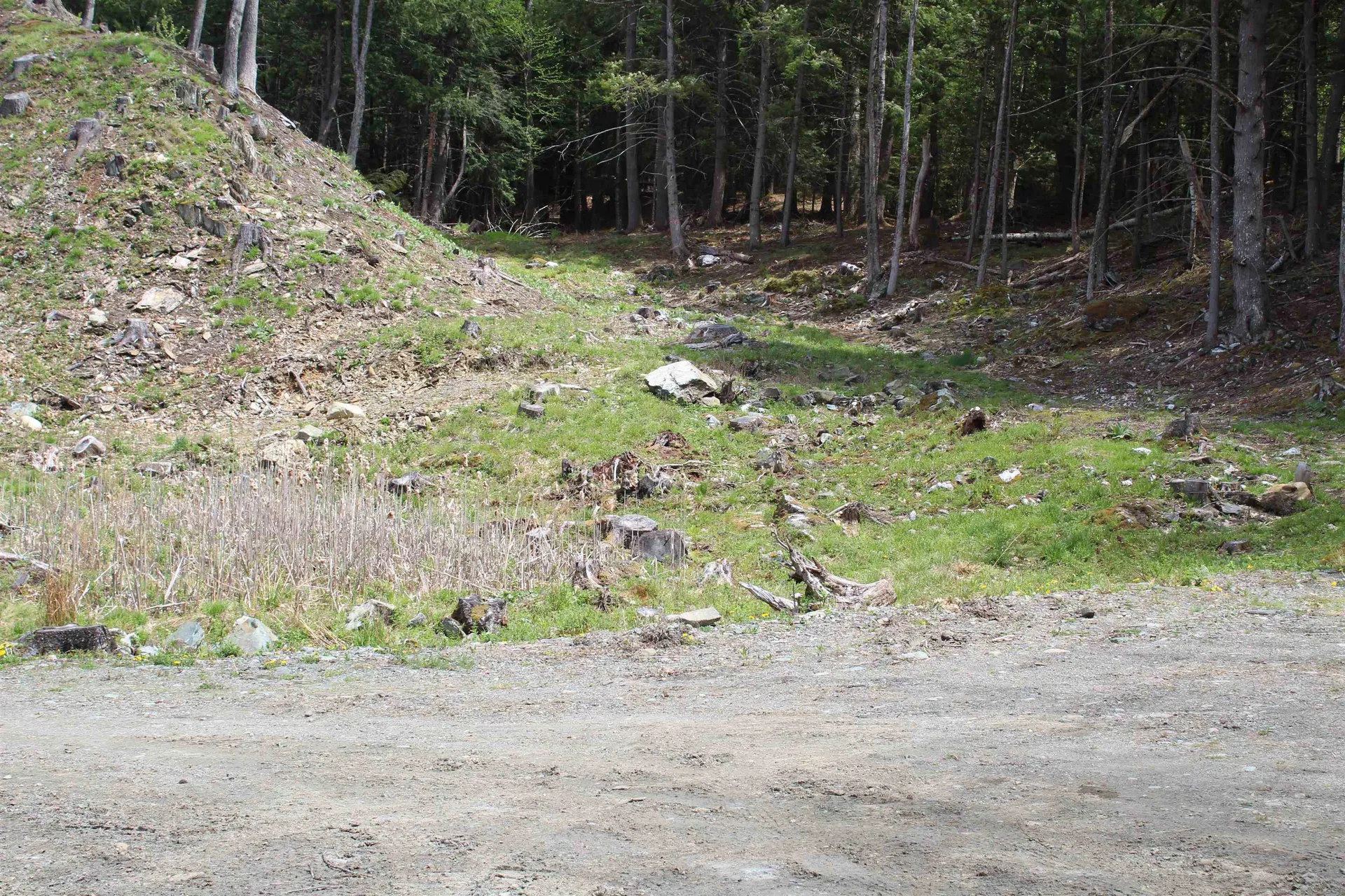 Lot 23/24 Wetherbee Road Lyman NH 03585