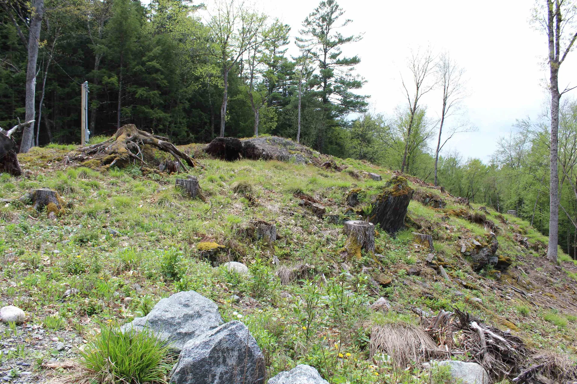 Lot 23/24 Wetherbee Road Lyman NH 03585