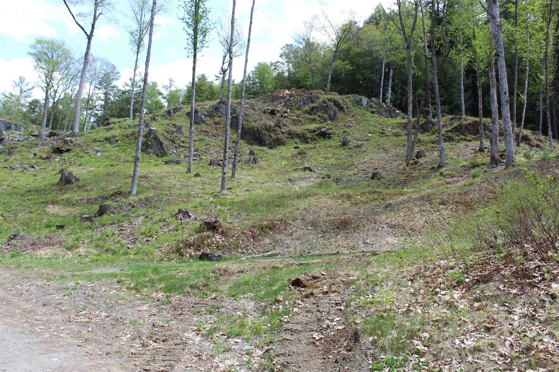 Lot 23/24 Wetherbee Road Lyman NH 03585