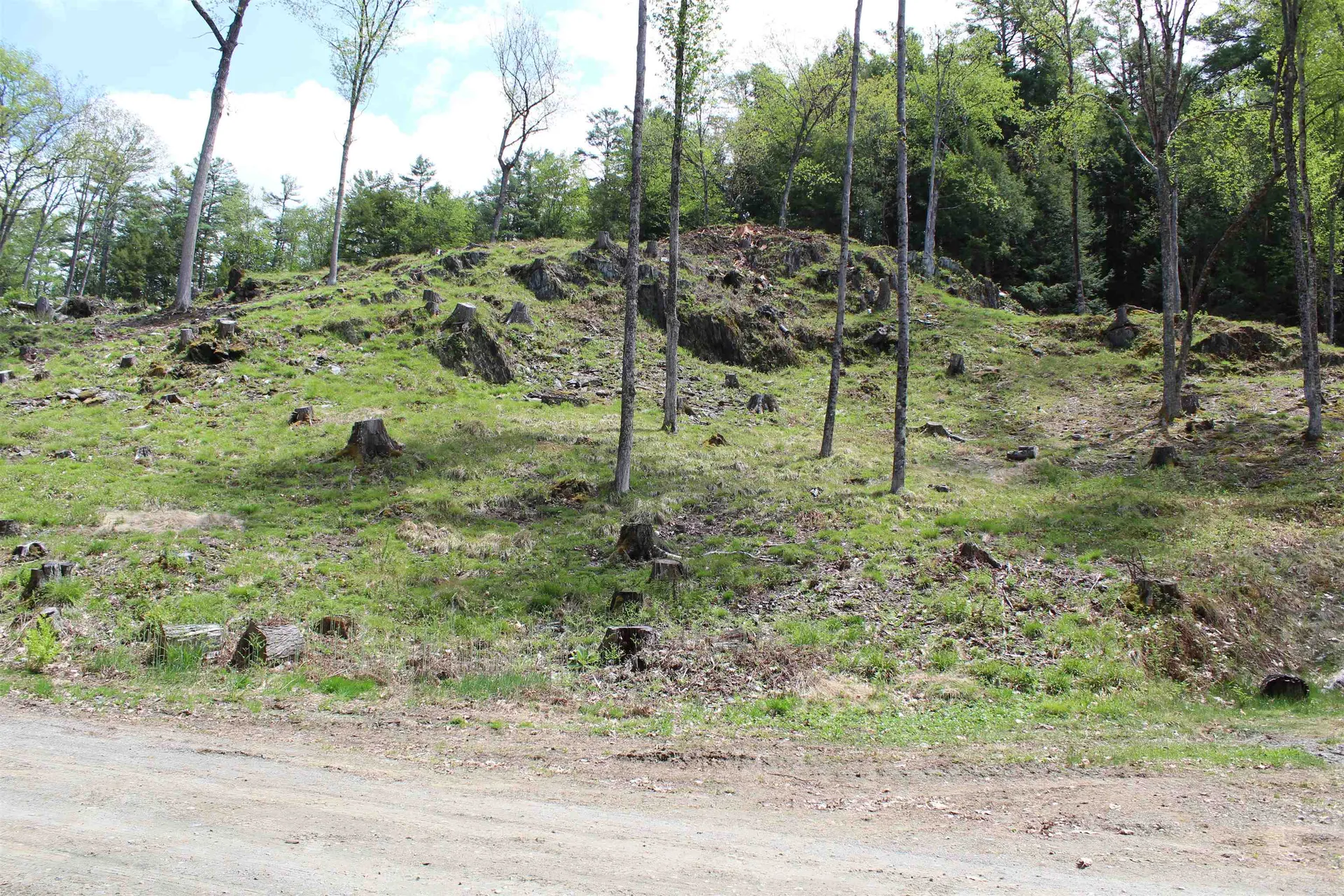 Lot 23/24 Wetherbee Road Lyman NH 03585